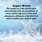 Aspen Winter: 2 Pack Menthol Shower Steamers