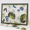 Coastal Shores: Stationery Set of 6 Different Blank Cards with Matching Embellished Envelopes