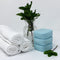 Mint Magic: 2 Pack Menthol Shower Steamers