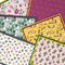 New Day: Stationery Set of 6 Different Blank Cards with Matching Embellished Envelopes