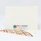 Autumnal Garden: Blank Notecard Set of 4 Cards, 2 Each of 2 Different Designs with Matching Embellished Envelopes
