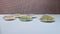 Happy Camper: Set of 6 Color Pop Dots Magnets - Sew Colorful Designs