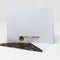 Glam Garden: Blank Notecard Set of 4 Cards with Matching Embellished Envelopes