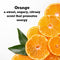 Orange Zest: 2 Pack Menthol Shower Steamers